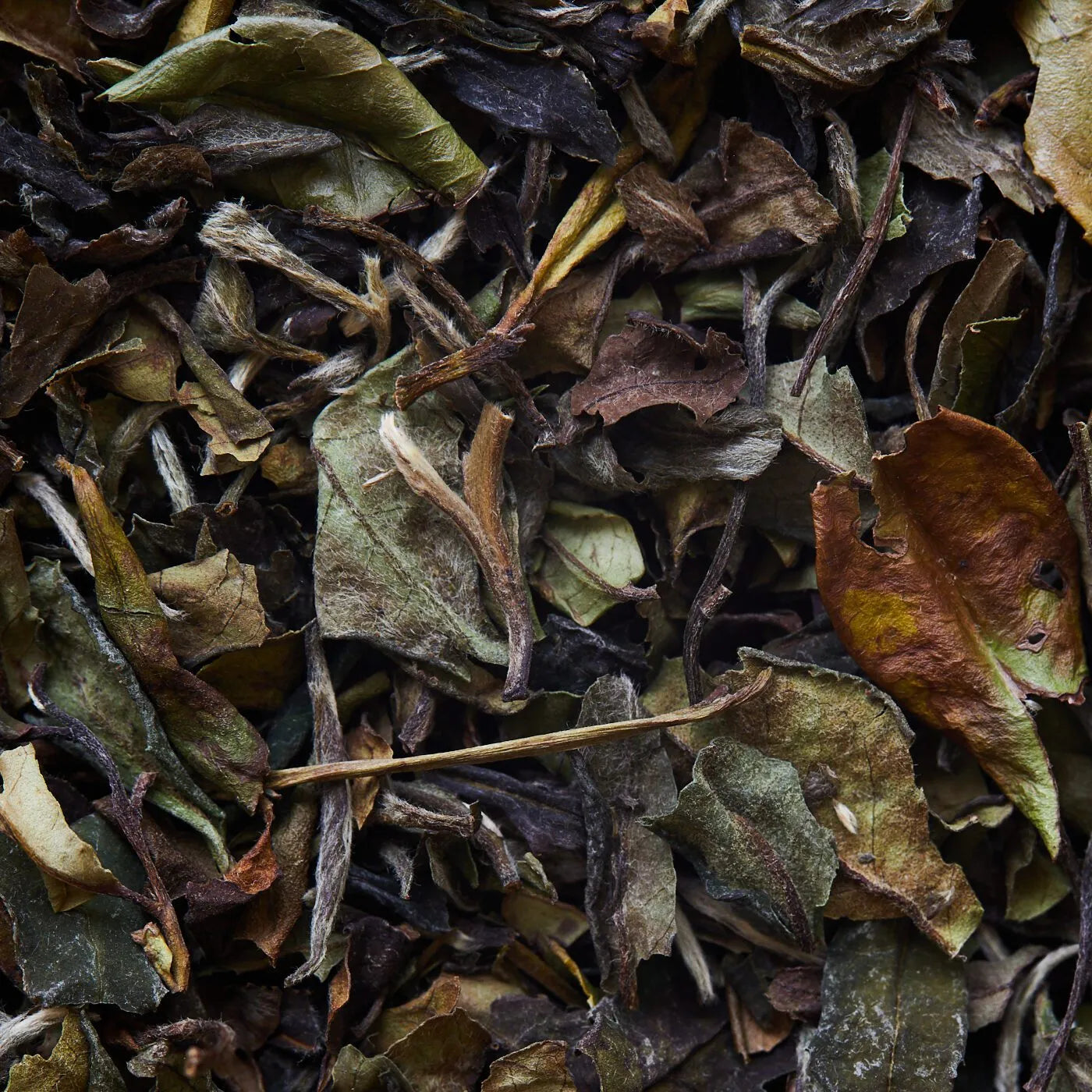 Tè bianco BAI MU DAN - 50 g