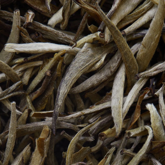 Tè bianco JASMIN IMPERIAL - 50 g
