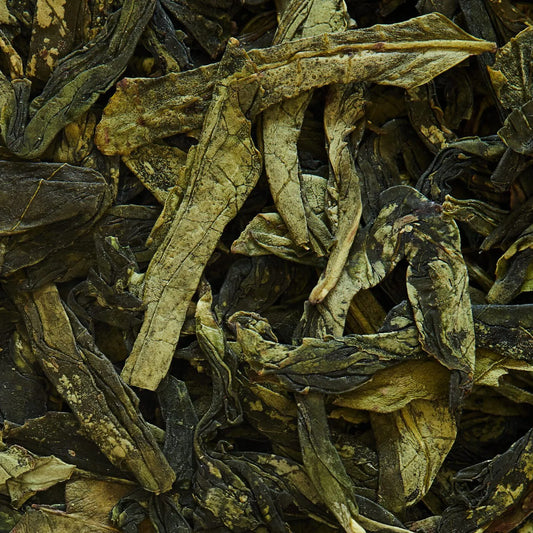 Tè verde LONG JING (LUNG CHING) 1° grado APRILE 2024 - 50 g